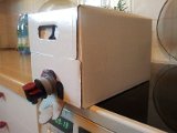 2011-07-01 20.11.03.jpg