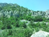 2011-07-02 13.02.46.jpg