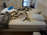 2011-07-02 20.54.29.jpg