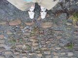 2011-07-03 15.50.14.jpg