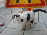 2011-07-03 16.08.25.jpg
