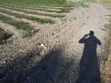 2011-07-03 18.57.12.jpg