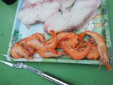 2011-07-04 18.38.29.jpg