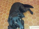2011-07-05 11.06.13.jpg