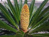 2011-07-06 12.11.05.jpg