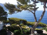2011-07-08 09.09.41.jpg