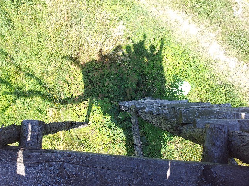 2011-07-16 13.29.29