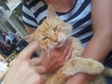 2011-07-16 12.42.41.jpg