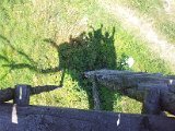 2011-07-16 13.29.29.jpg