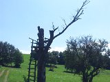2011-07-16 13.35.35.jpg