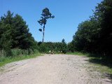 2011-07-16 13.39.26.jpg