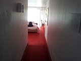 2011-08-15 09.32.24.jpg