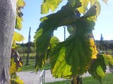 2011-09-30 13.46.40.jpg