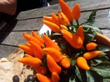 2011-10-01 12.41.47.jpg