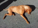 2011-10-02 14.19.23.jpg