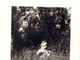 Mike 1955 Kopie.jpg