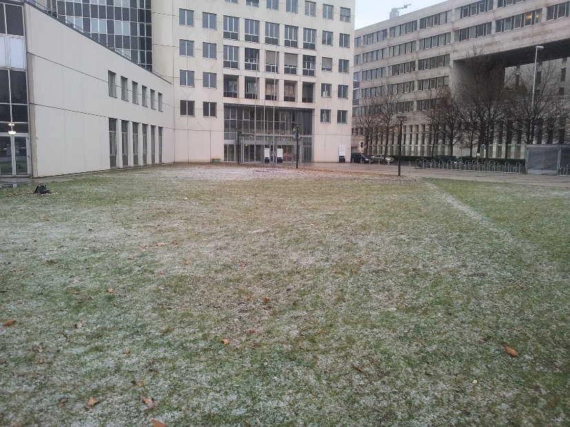 2012-01-13 14.54.24