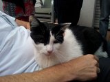 2011-07-23 19.36.54.jpg