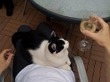2011-07-23 19.37.23.jpg