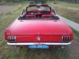 2011-08-21 19.53.31.jpg