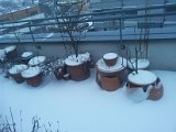 2012-02-07 07.24.13.jpg