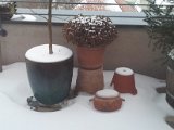 2012-02-07 07.28.38.jpg