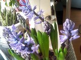 2012-03-11 15.53.56.jpg