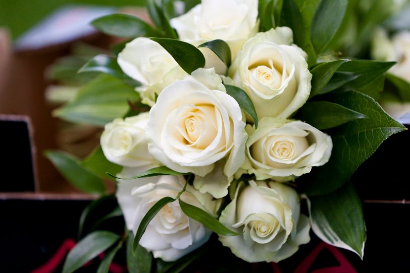 Foto_0077