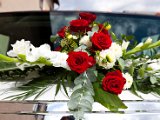 Foto_0066.jpg