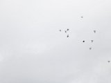 Foto_0389.jpg