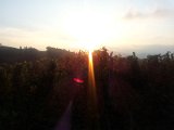 2012-10-14 17.44.26.jpg