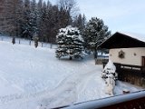 IMG_4195.jpg