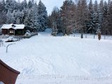 IMG_4197.jpg