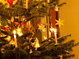 IMG_0267.jpg