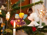 IMG_0282.jpg