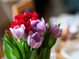 IMG_0565.jpg