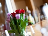IMG_0582.jpg
