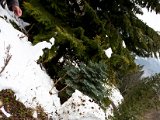 IMG_0879.jpg