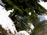 IMG_0880.jpg