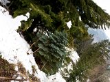 IMG_0881.jpg
