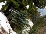 IMG_0882.jpg