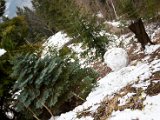 IMG_0883.jpg