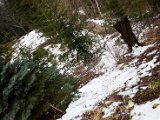 IMG_0884.jpg