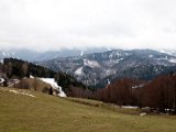 IMG_1008.jpg