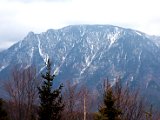 IMG_1040.jpg