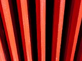IMG_1105.jpg
