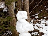IMG_1176.jpg