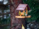 IMG_1462.jpg