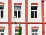 IMG_0651.jpg