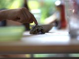 IMG_0283.CR2